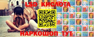 ПСИЛОЦИБИНОВЫЕ ГРИБЫ Можга
