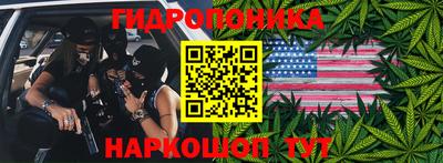 ПСИЛОЦИБИНОВЫЕ ГРИБЫ Можга